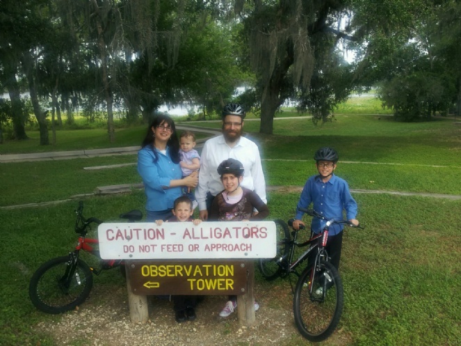 Caution - Alligators